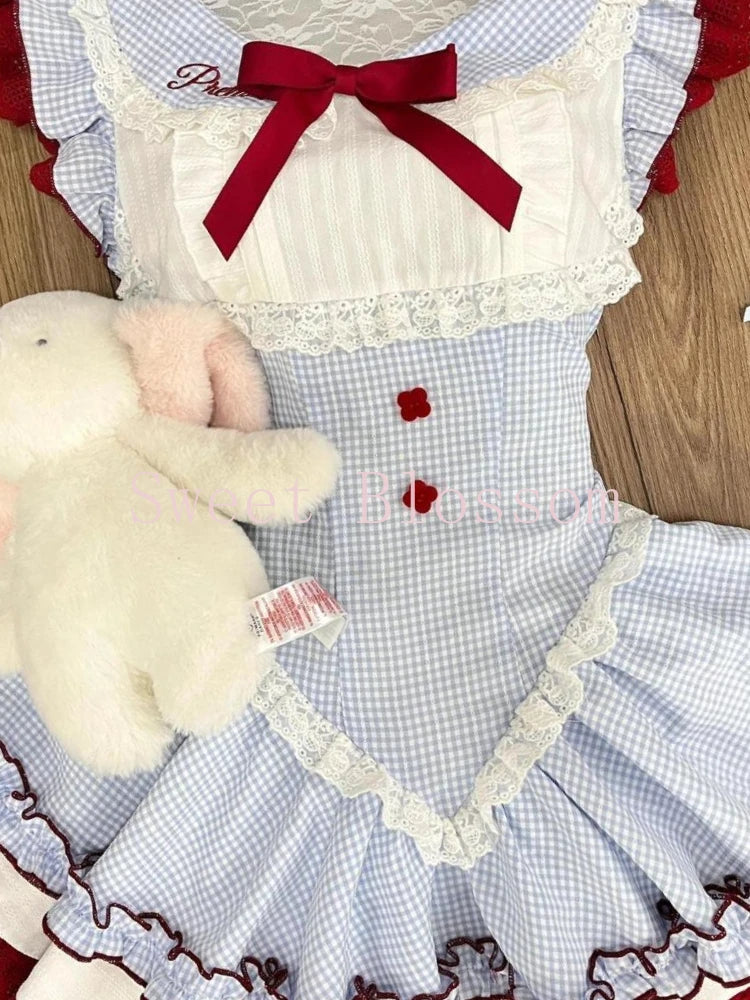 Beautiful Picnic Dress