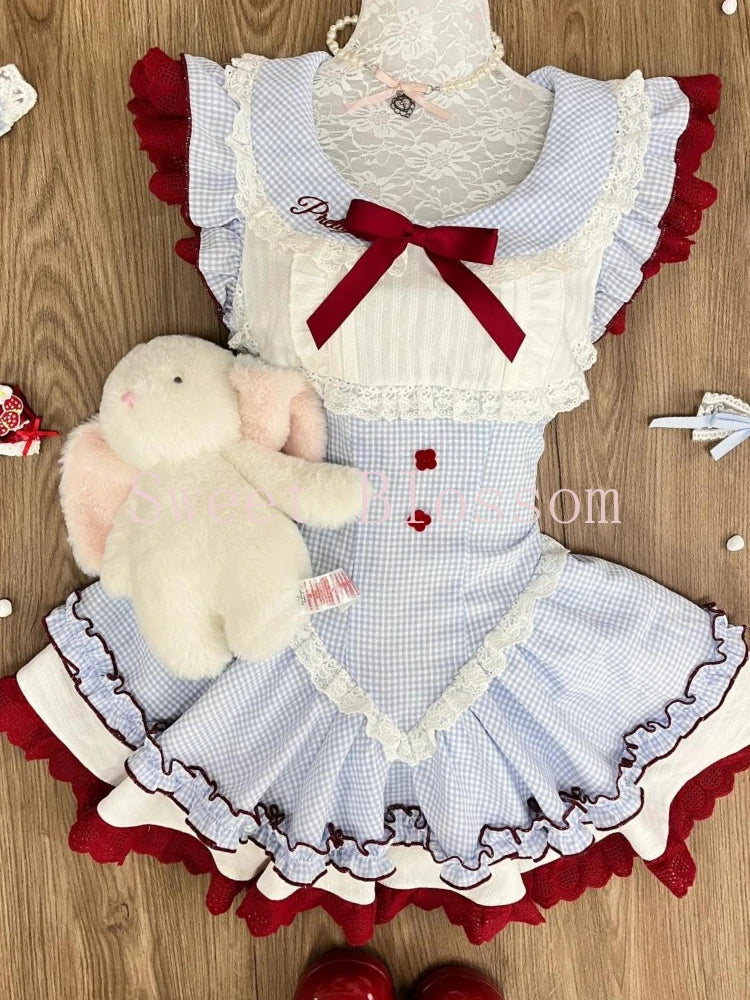 Beautiful Picnic Dress