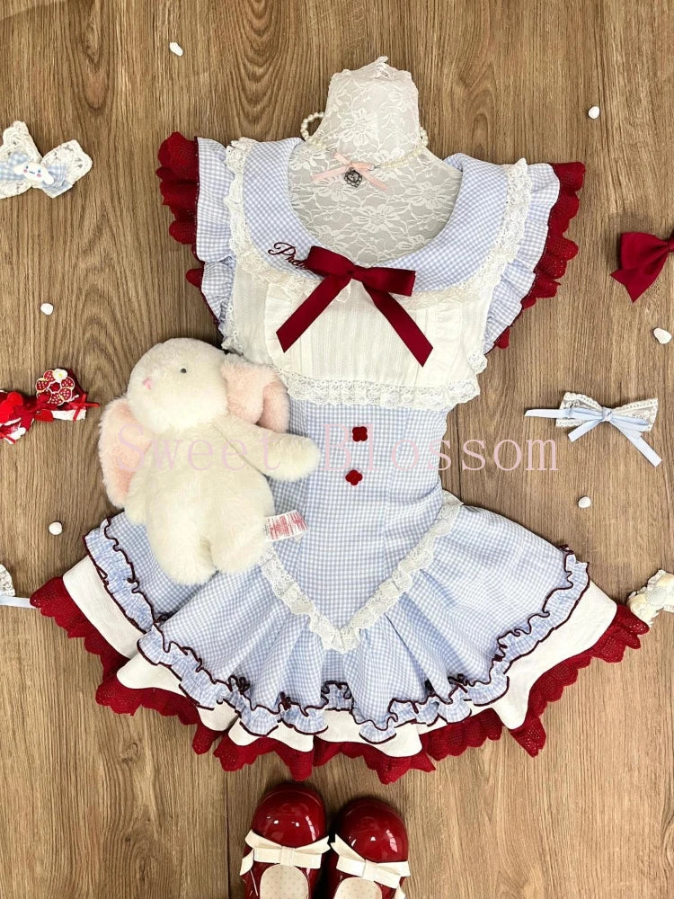 Beautiful Picnic Dress